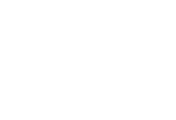 Action Insurance Repair
